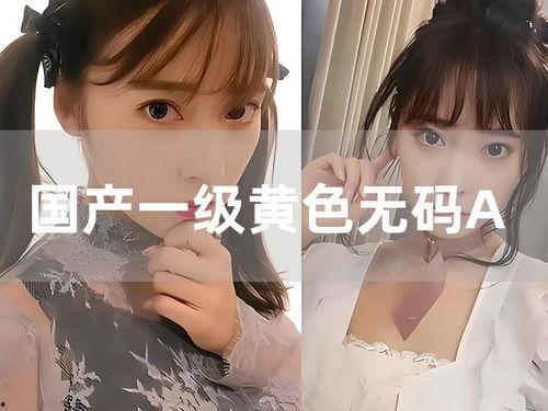 成人三级国产,成人三级教育新篇章